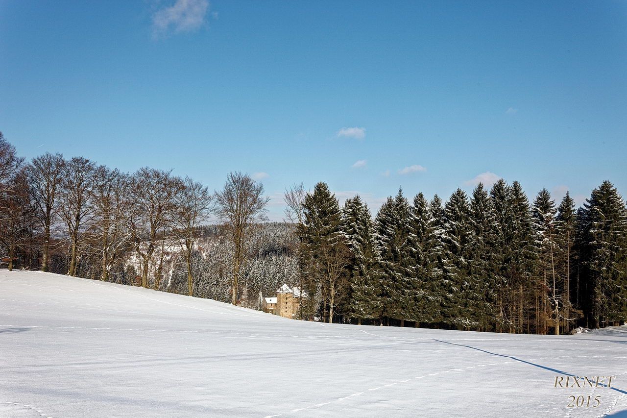 NEIGE 008