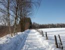 NEIGE 013