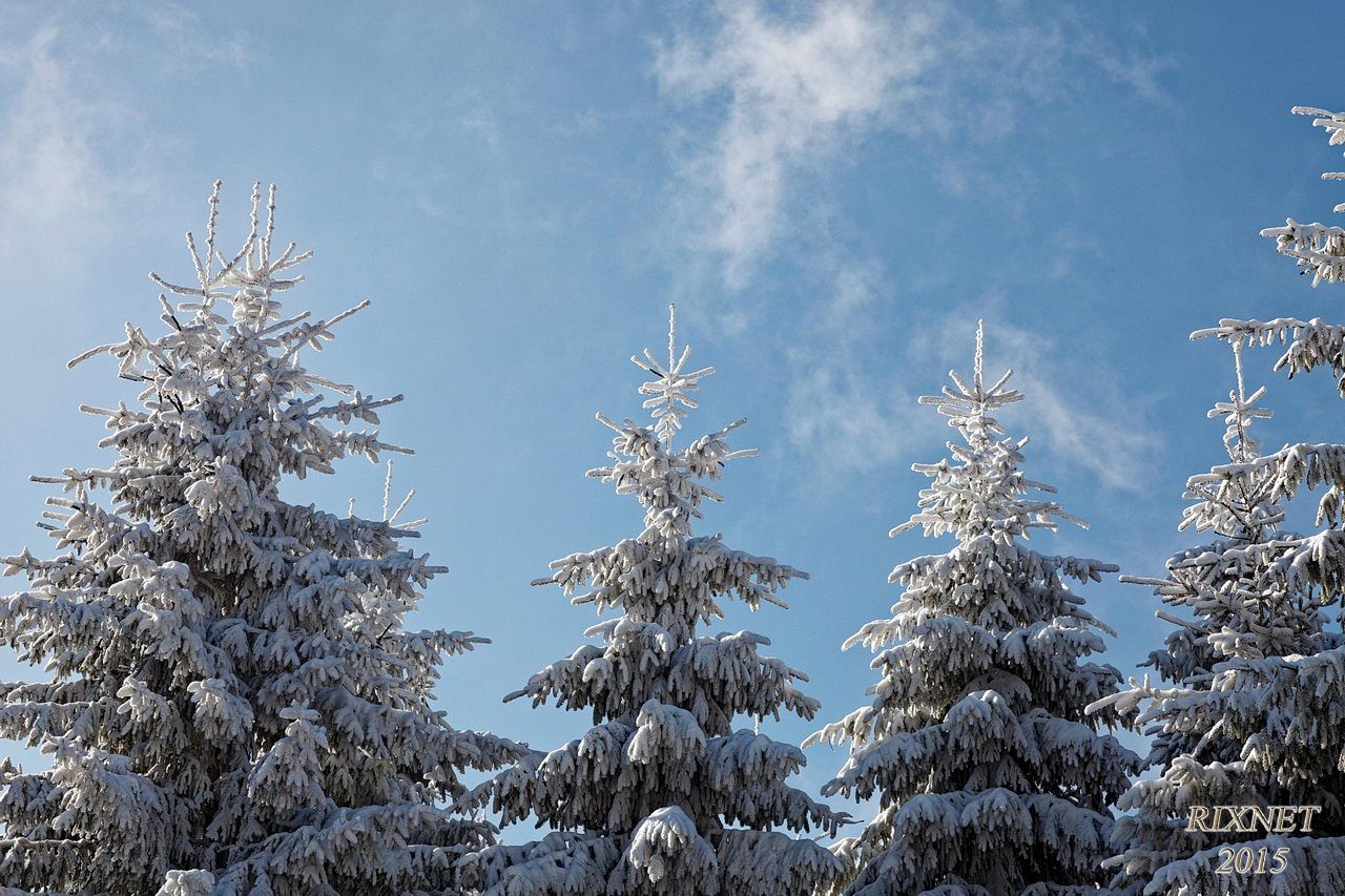 NEIGE 015