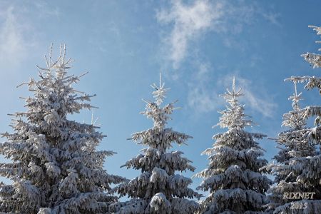 NEIGE 015