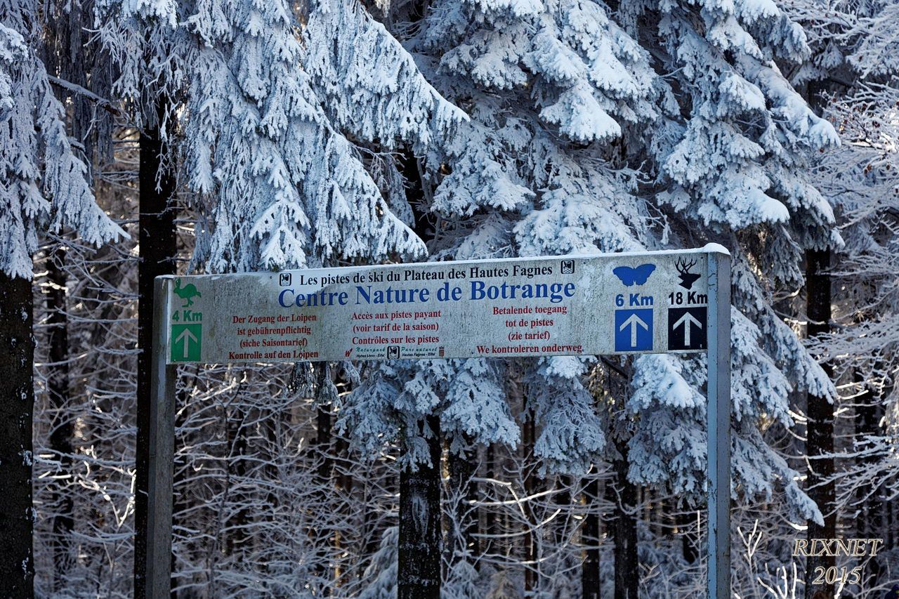 NEIGE 016