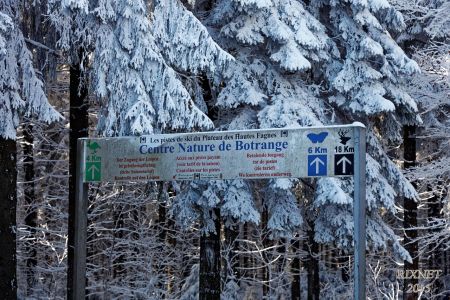 NEIGE 016