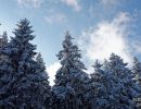 NEIGE 017