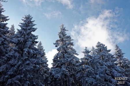 NEIGE 017