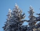 NEIGE 018