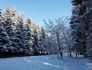 NEIGE 019