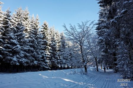 NEIGE 019