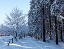 NEIGE 021