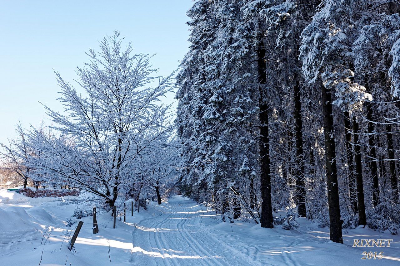 NEIGE 021