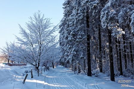 NEIGE 021