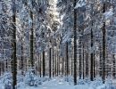 NEIGE 022