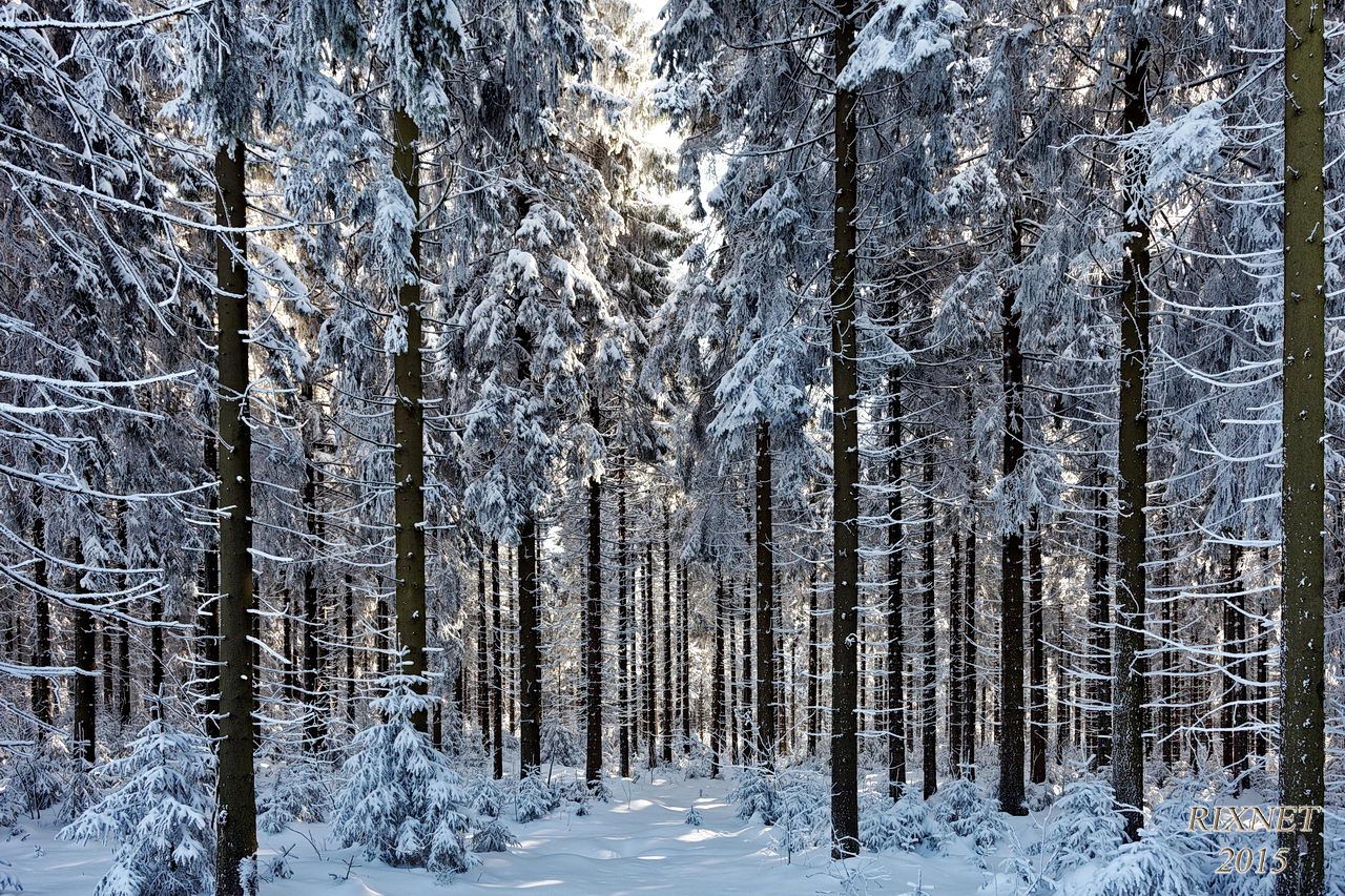NEIGE 022