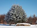 NEIGE 024