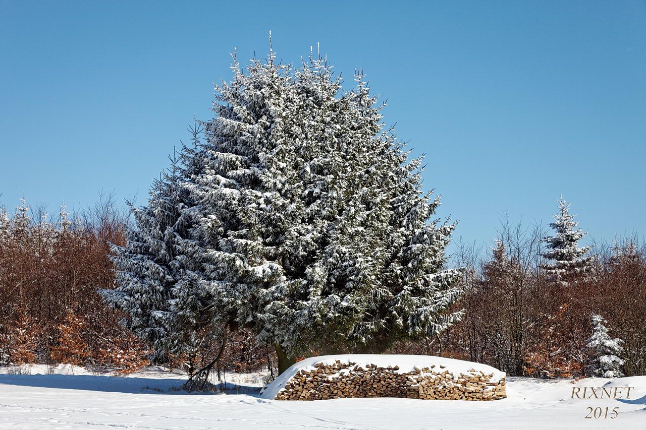 NEIGE 024