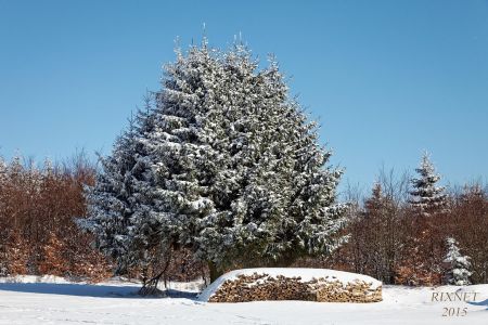 NEIGE 024