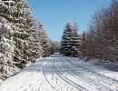 NEIGE 025