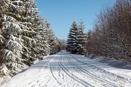 NEIGE 025