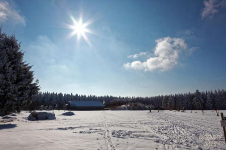 NEIGE 026
