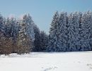 NEIGE 027