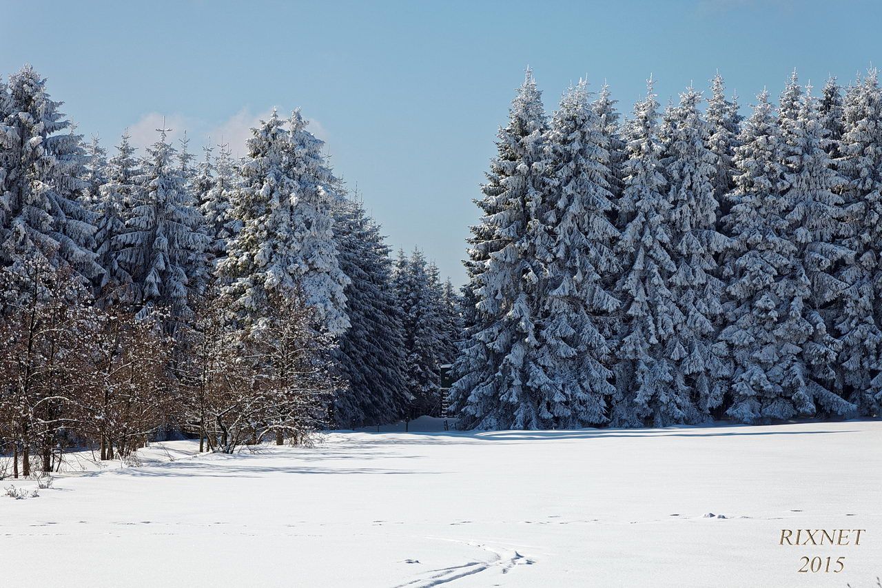 NEIGE 027