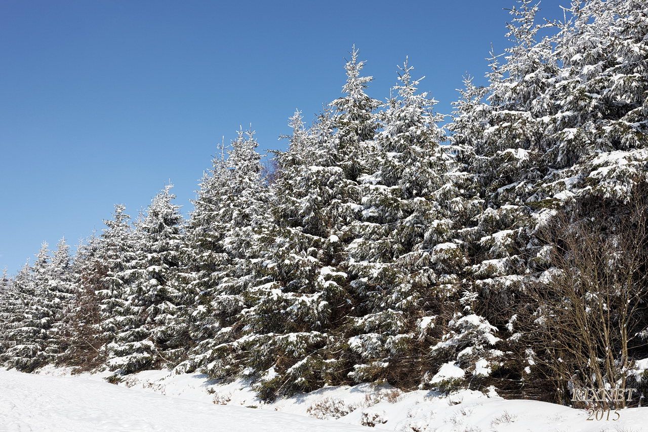 NEIGE 028