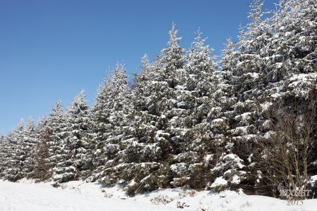 NEIGE 028