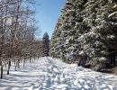 NEIGE 029