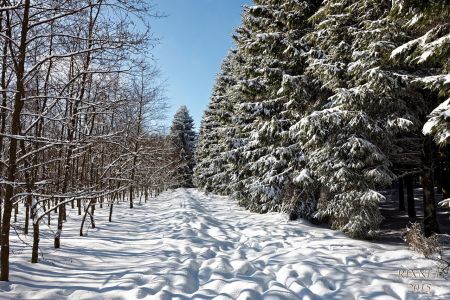 NEIGE 029