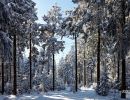 NEIGE 030