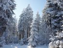 NEIGE 031