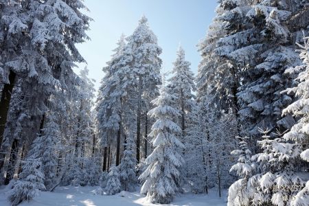 NEIGE 031