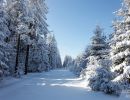 NEIGE 032