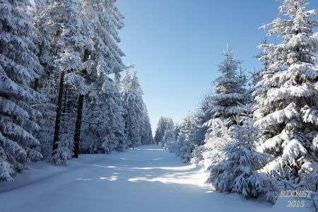 NEIGE 032