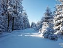 NEIGE 033