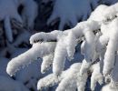 NEIGE 034