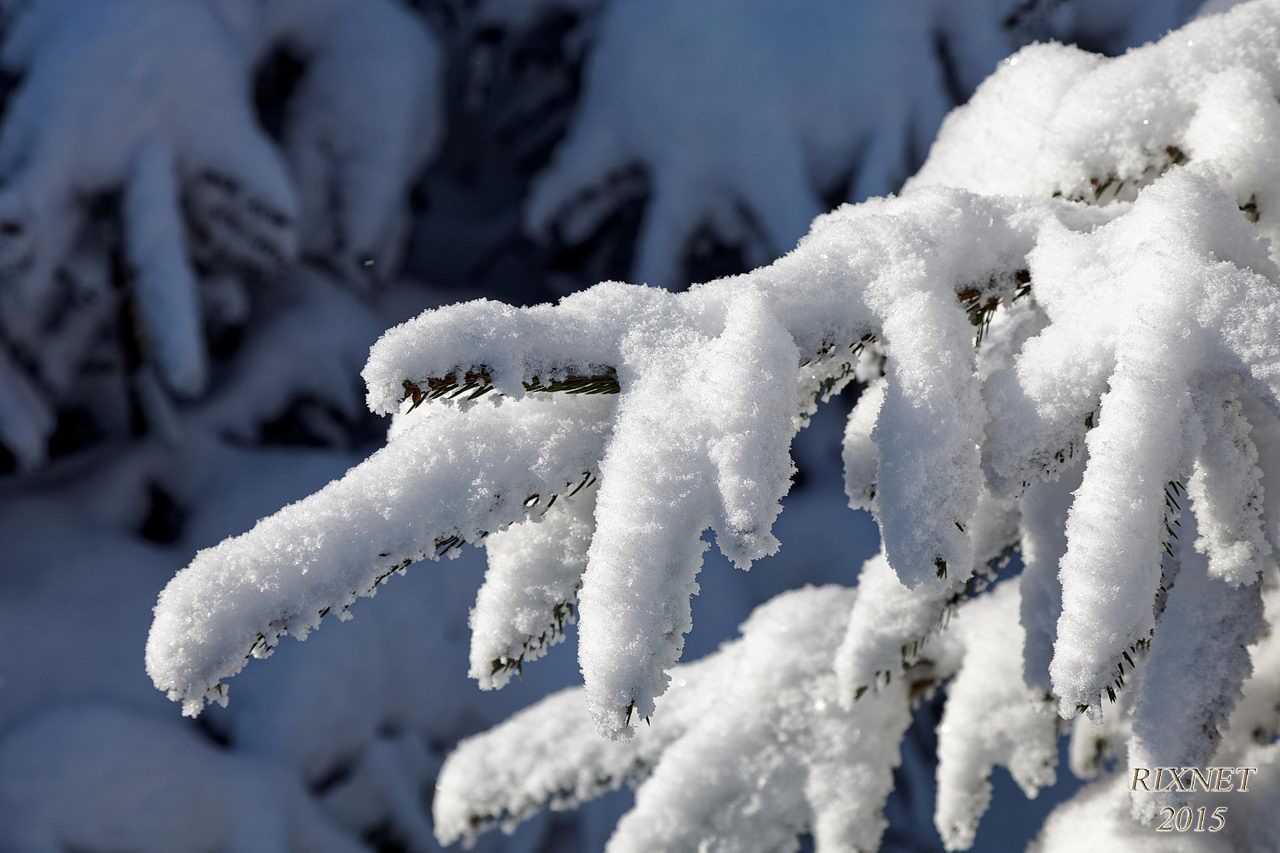 NEIGE 034