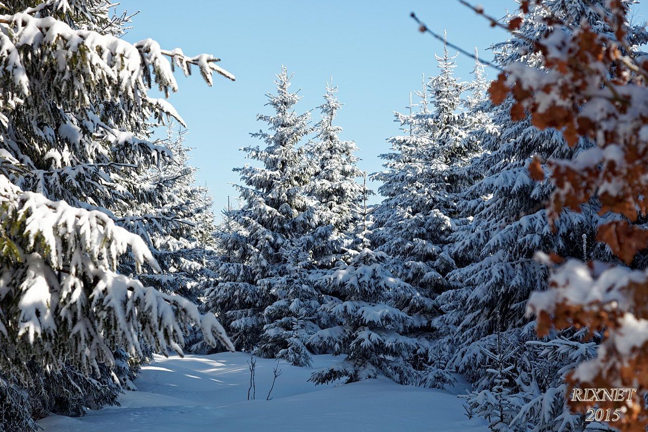 NEIGE 035