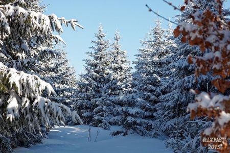 NEIGE 035