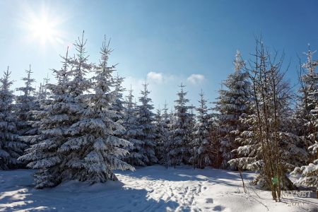 NEIGE 036