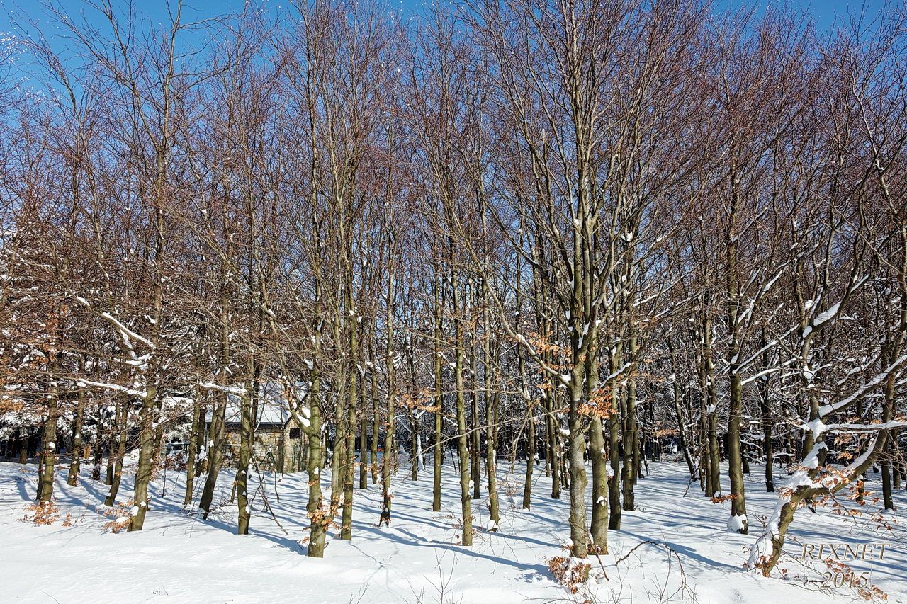 NEIGE 037