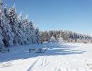 NEIGE 038