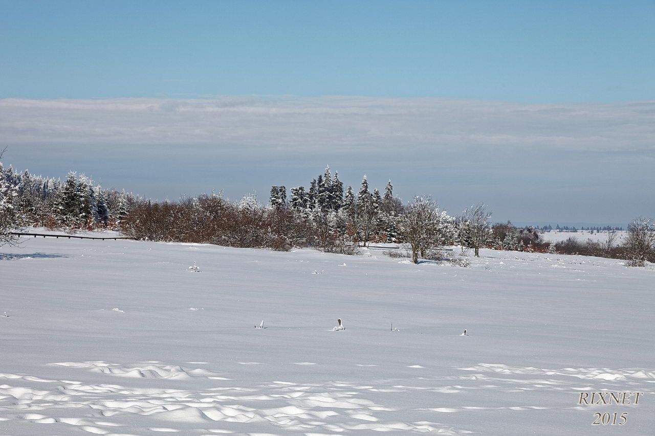 NEIGE 039