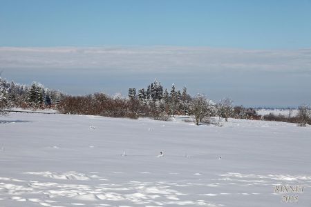 NEIGE 039