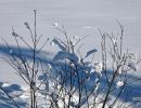 NEIGE 042