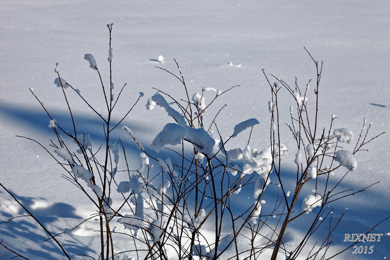 NEIGE 042
