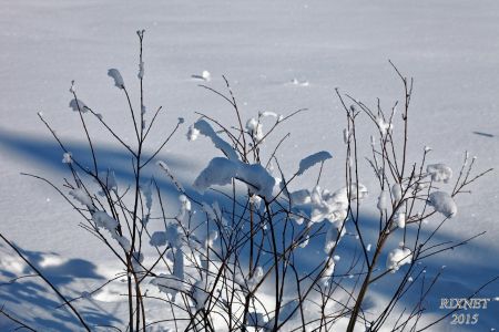 NEIGE 042