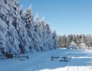 NEIGE 043