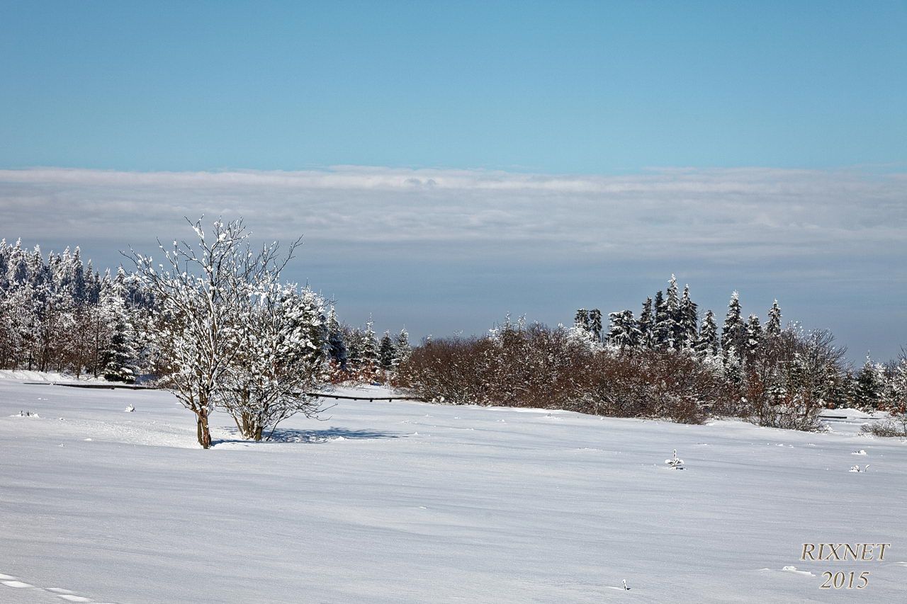 NEIGE 044
