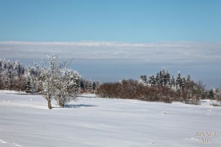 NEIGE 044