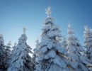 NEIGE 045